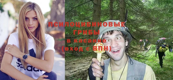 прущие грибы Рославль
