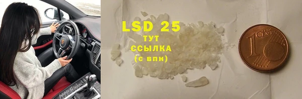 стаф Россошь
