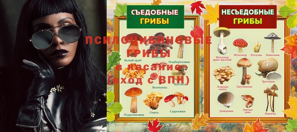 стаф Россошь
