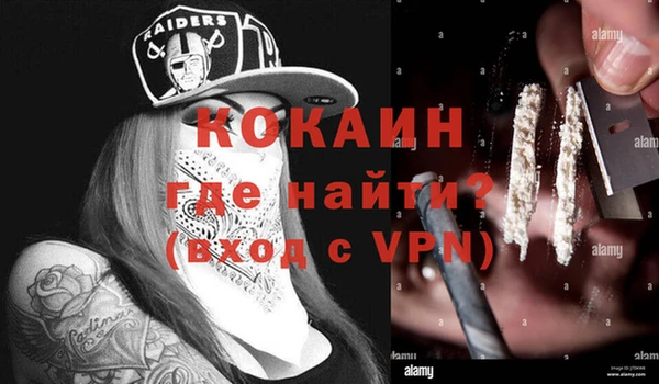 прущие грибы Рославль