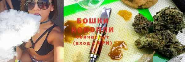 стаф Россошь